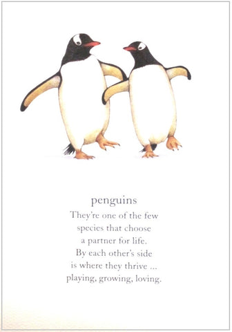 greeting card two penguins and words on front white background anniversary card