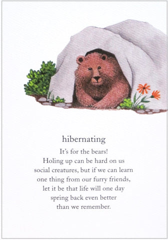 greeting card bear in cave missing you