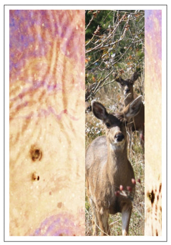 Valerie Taylor Greeting Card w/Envelope - Deer Stripe VT106