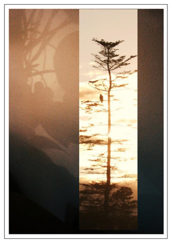 Valerie Taylor Greeting Card w/Envelope - Sunrise Stripe VT110