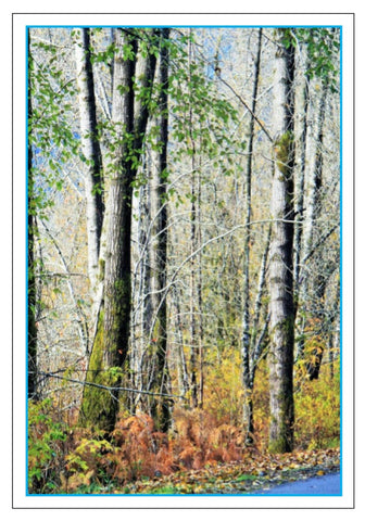 Valerie Taylor Greeting Card w/Envelope  - Walking in the Comox Valley VT124