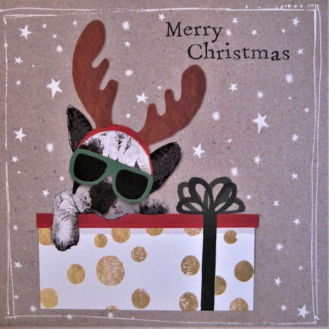 Christmas Dog Greeting Card     Fan020