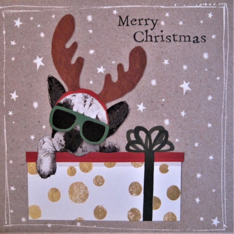 Christmas Dog Greeting Card Fan020