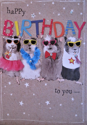 Greetings from the Birthday Mice Fan019