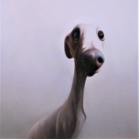 Greeting Card with Rufus     AG 0059