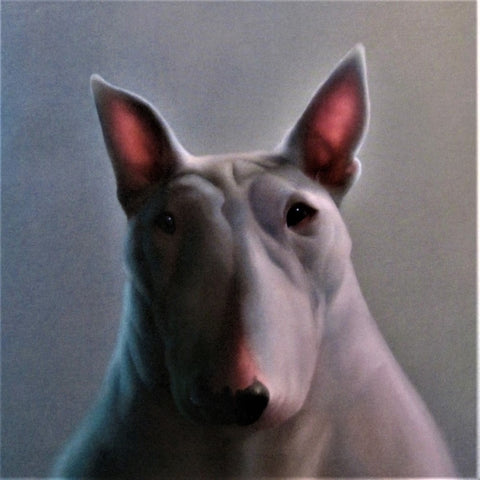 Greeting Card with Terry     AG 0062