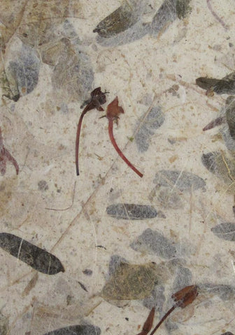 Mulberry paper from Thailand; banana, tamarind & floral inclusions in natural background