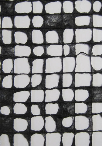 Mulberry paper from Thailand; ultralight gossamer black pulp on threads