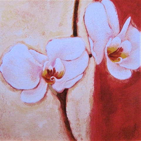 Dewi Morris Greeting Card Any Occasion - Orchids STG087