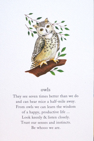 birthday card owl and words on front white background