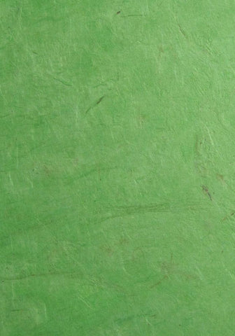 Lokta paper from Nepal, solid green