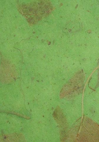 Mulberry paper from Thailand, mango leave inclusions in spring green 